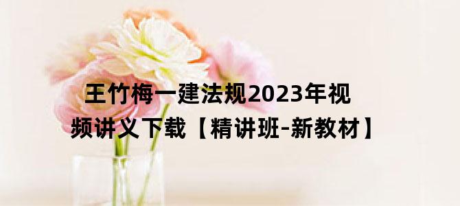 '王竹梅一建法规2023年视频讲义下载【精讲班-新教材】'