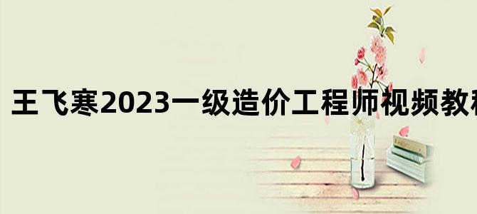 '王飞寒2023一级造价工程师视频教程免费下载'