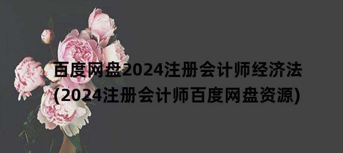 '百度网盘2024注册会计师经济法(2024注册会计师百度网盘资源)'