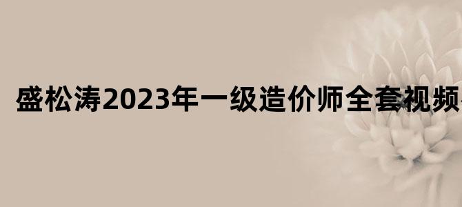 '盛松涛2023年一级造价师全套视频教程'