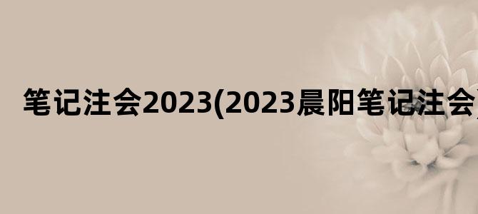 '笔记注会2023(2023晨阳笔记注会)'