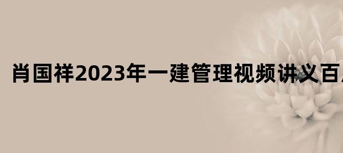 '肖国祥2023年一建管理视频讲义百度网盘'