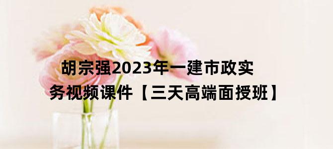 '胡宗强2023年一建市政实务视频课件【三天高端面授班】'