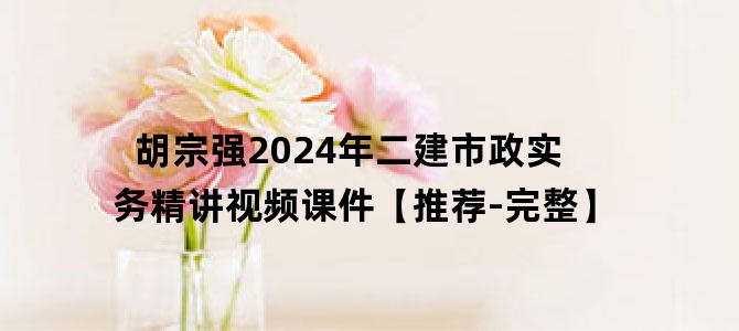 '胡宗强2024年二建市政实务精讲视频课件【推荐-完整】'