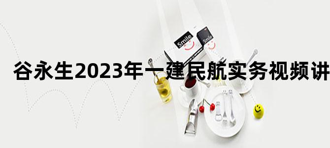 '谷永生2023年一建民航实务视频讲义'