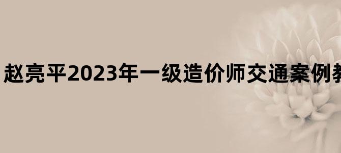'赵亮平2023年一级造价师交通案例教学视频百度网盘'