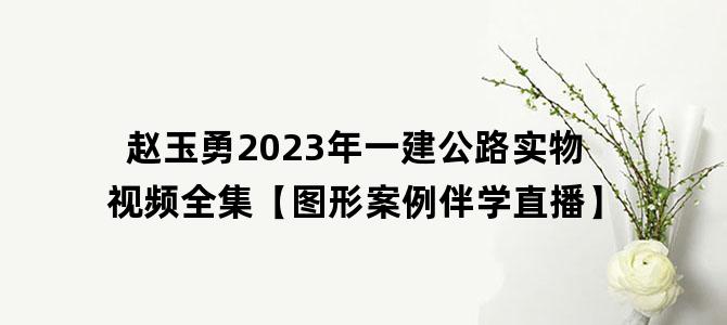'赵玉勇2023年一建公路实物视频全集【图形案例伴学直播】'