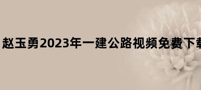 '赵玉勇2023年一建公路视频免费下载【考点精讲班】'