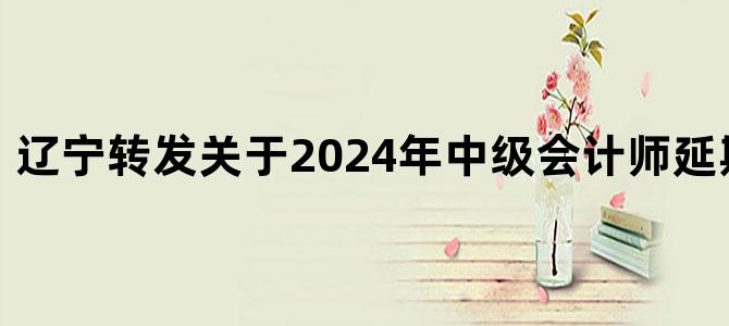 '辽宁转发关于2024年中级会计师延期考试通知'