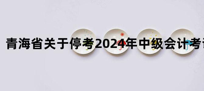 '青海省关于停考2024年中级会计考试的公告'