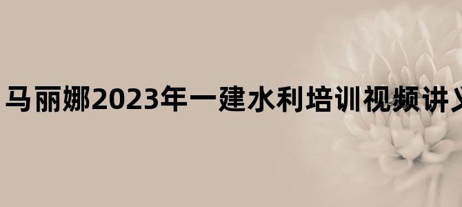 '马丽娜2023年一建水利培训视频讲义【精讲通关班】'