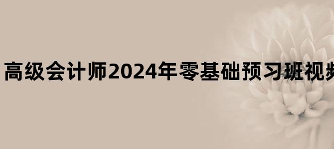 '高级会计师2024年零基础预习班视频课件下载完整版'