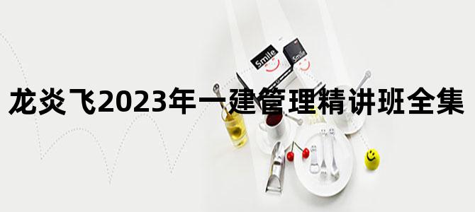 '龙炎飞2023年一建管理精讲班全集（视频+讲义）'