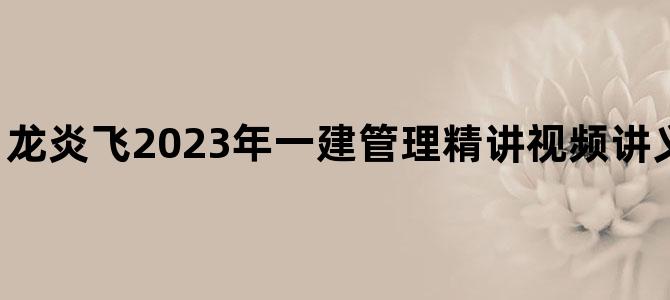 '龙炎飞2023年一建管理精讲视频讲义【深度精讲班】'